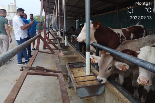 شركة “بروفاكونو” تدعو  مجموعة من مستوردي لحوم الأبقار  في الإمارات