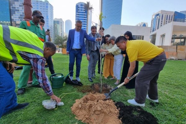planted 300 Golden Shower Trees, the National Flower of Thailand